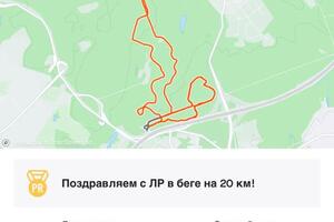Полумарафон с набором высоты в 400 метров в 70-80% от максимума — Князев Сергей Николаевич