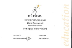 Диплом / сертификат №3 — Солодовник Дарья Андреевна