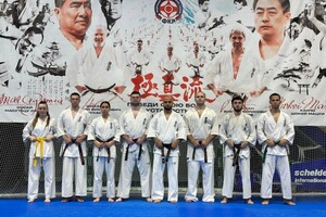 Авалян Тигран Варданович — Портфолио №14