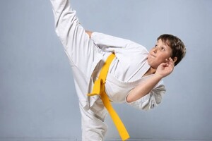 Авалян Тигран Варданович — Портфолио №20