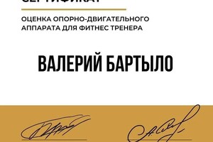 Диплом / сертификат №7 — Бартыло Валерий Александрович