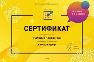 Диплом / сертификат №17 — Костякина Наталья Алексеевна