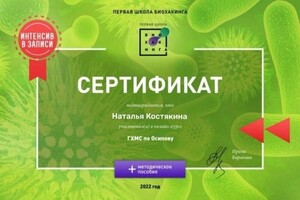 Диплом / сертификат №27 — Костякина Наталья Алексеевна