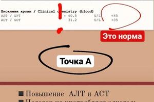 Работа с печенью из за пищевой непереносимости — Костякина Наталья Алексеевна