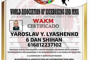 Ляшенко Ярослав Юрьевич — Диплом / сертификат №7