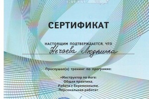 Диплом / сертификат №4 — Нечаева Людмила Александровна