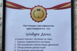 Диплом / сертификат №7 — Шадура Денис Юрьевич