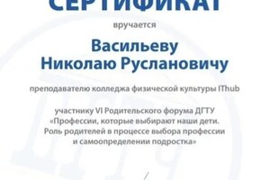 Диплом / сертификат №4 — Васильев Николай Русланович