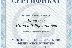 Диплом / сертификат №5 — Васильев Николай Русланович