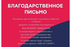 Диплом / сертификат №7 — Васильев Николай Русланович