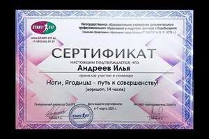 Диплом / сертификат №103 — Андреев Илья Максимович