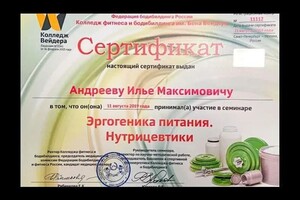 Диплом / сертификат №33 — Андреев Илья Максимович