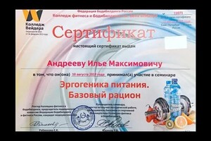 Диплом / сертификат №97 — Андреев Илья Максимович