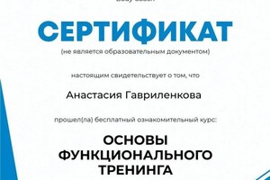 Диплом / сертификат №3 — Данилова Анастасия Фёдоровна