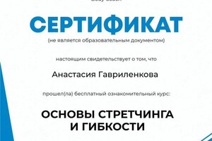 Диплом / сертификат №4 — Данилова Анастасия Фёдоровна