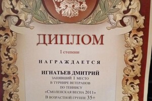 Диплом / сертификат №3 — Игнатьев Дмитрий Николаевич