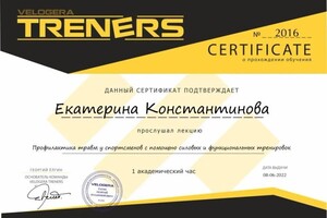 Диплом / сертификат №17 — Константинова Екатерина Георгиевна