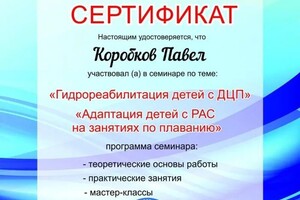 Диплом / сертификат №15 — Коробков Павел Владимирович