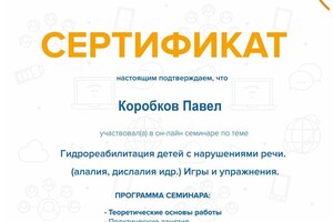 Диплом / сертификат №35 — Коробков Павел Владимирович