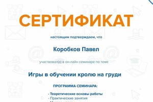 Диплом / сертификат №36 — Коробков Павел Владимирович