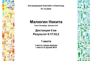 Диплом / сертификат №3 — Малюгин Никита Дмитриевич