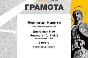 Диплом / сертификат №8 — Малюгин Никита Дмитриевич