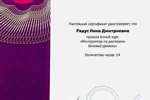 Диплом / сертификат №5 — Радус Нина Дмитриевна