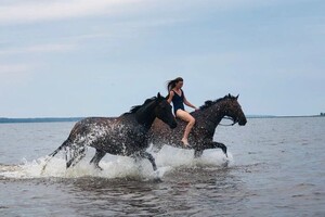 Я с учениками каждый год выезжаю на Ладогу покупаться с лошадьми. Это бесплатно) — Рощупкина Надежда Степановна