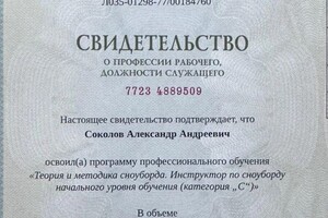 Диплом / сертификат №1 — Соколов Александр Андреевич