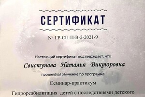 Диплом / сертификат №6 — Свистунова Наталья Викторовна