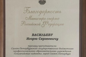 Диплом / сертификат №1 — Васильев Игорь Сергеевич