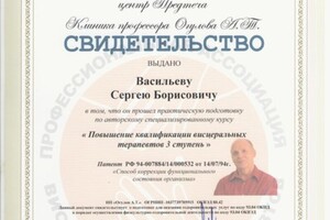 Висцеральная терапия 3 ступень — Васильев Сергей Борисович