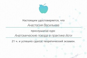 Диплом / сертификат №2 — Васильева Анастасия Игоревна