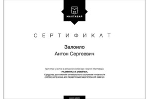 Диплом / сертификат №3 — Залоило Антон Сергеевич