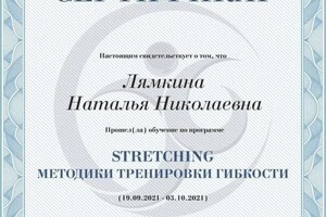 Диплом / сертификат №6 — Лямкина Наталья Николаевна