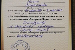 Диплом / сертификат №2 — Панина Евгения Владимировна