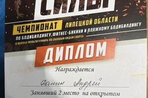 Диплом / сертификат №6 — Данин Андрей Александрович