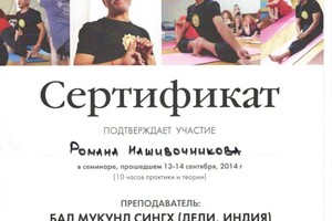 Диплом / сертификат №4 — Нашивочников Роман Александрович