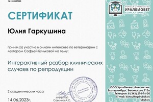 Диплом / сертификат №10 — Гаркушина Юлия Владимировна