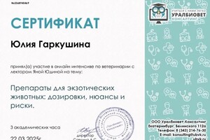 Диплом / сертификат №34 — Гаркушина Юлия Владимировна