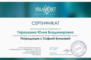 Диплом / сертификат №9 — Гаркушина Юлия Владимировна