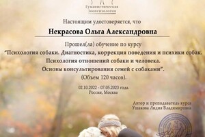 Диплом / сертификат №1 — ИП Некрасова О. А.