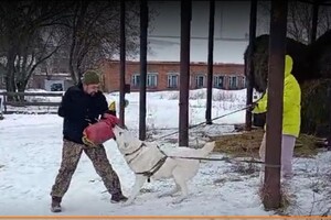 Отработка охранных качеств — Хайриев Руслан Ильгизович