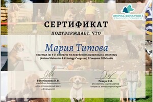 Диплом / сертификат №14 — Титова Мария Евгеньевна