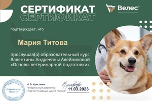 Диплом / сертификат №19 — Титова Мария Евгеньевна