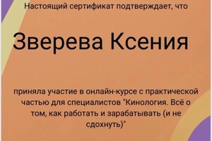 Диплом / сертификат №2 — Зверева Ксения Ромеовна