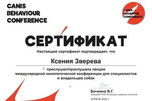 Диплом / сертификат №5 — Зверева Ксения Ромеовна