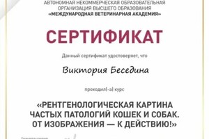 Диплом / сертификат №22 — Беседина Виктория Владимировна