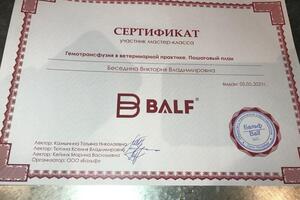 Мастер-класс по переливанию крови — Беседина Виктория Владимировна