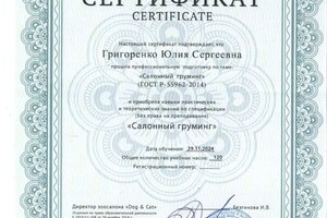 Диплом / сертификат №7 — Григоренко Юлия Сергеевна